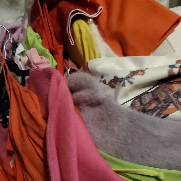 Mystery Box! - Picture 3 of 3